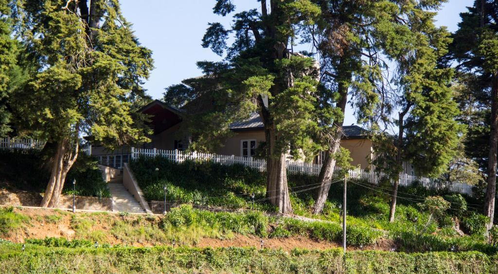 The Firs Villa Nuwara Eliya Luaran gambar